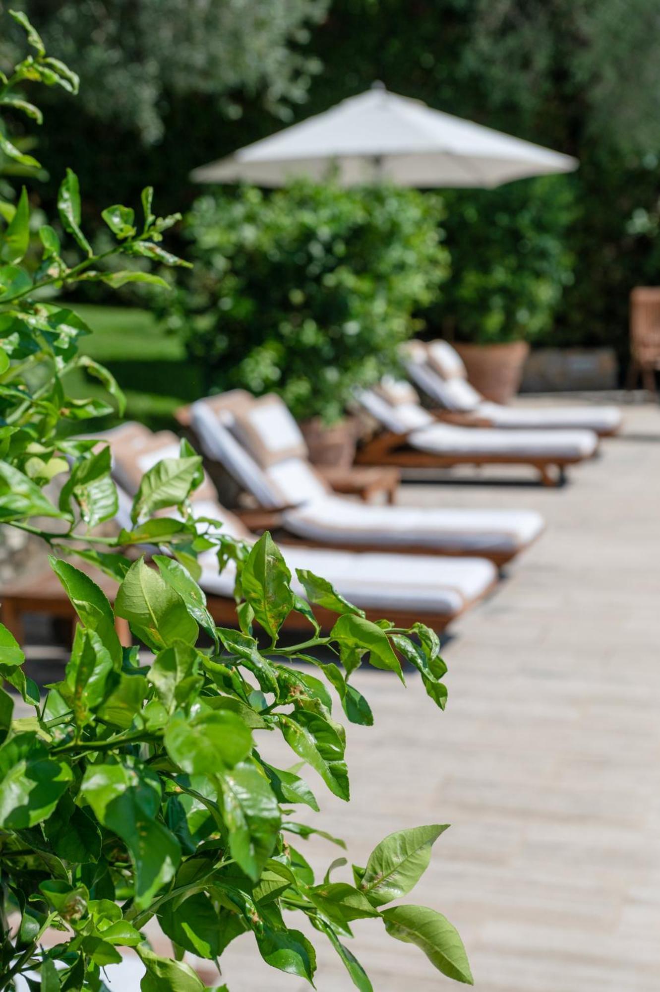 Santa Lucia  Villa Eden Forte Dei Marmi With Private Infinity Pool מראה חיצוני תמונה