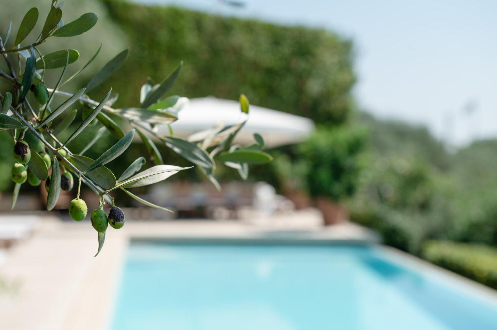 Santa Lucia  Villa Eden Forte Dei Marmi With Private Infinity Pool מראה חיצוני תמונה
