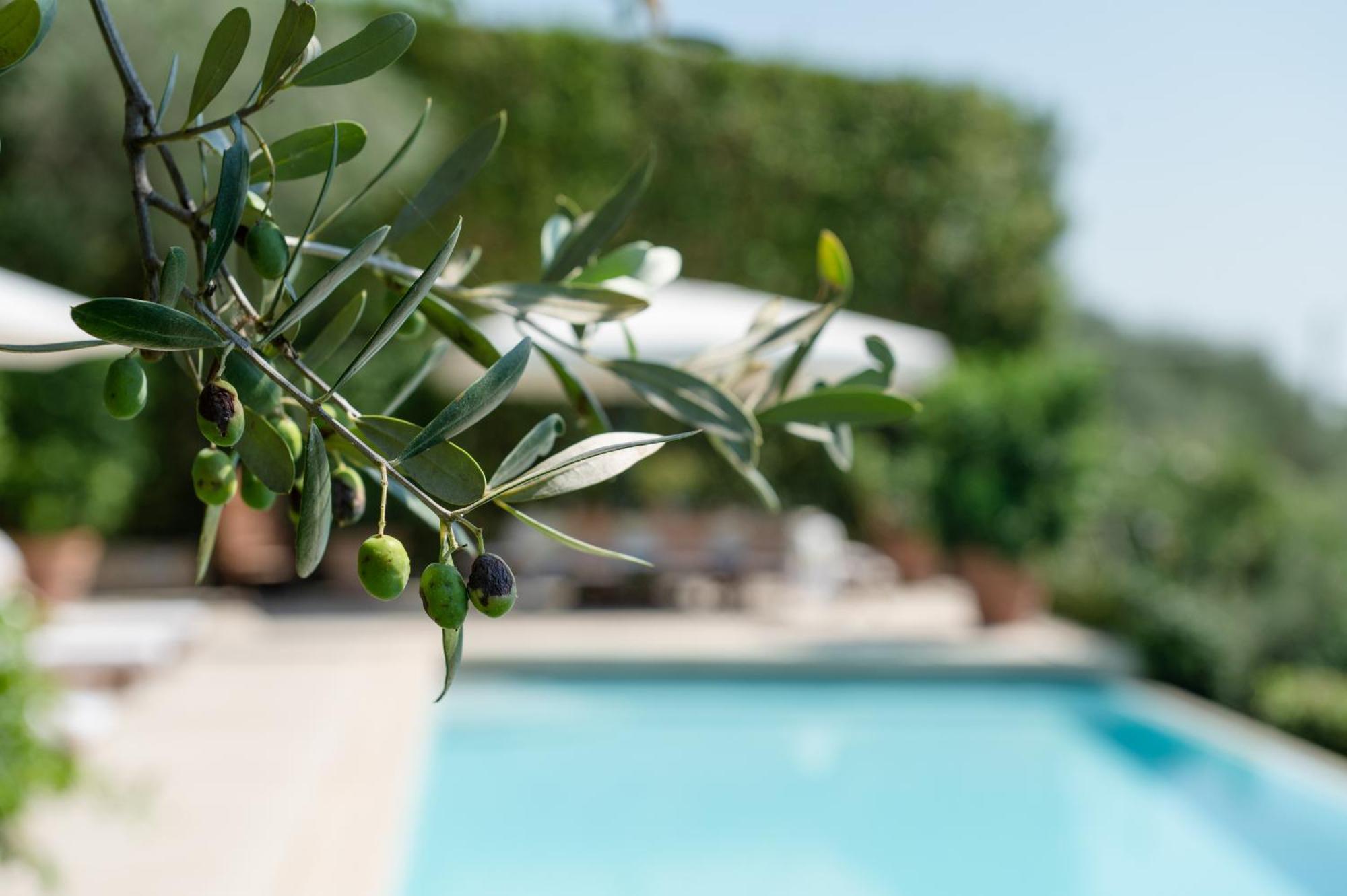 Santa Lucia  Villa Eden Forte Dei Marmi With Private Infinity Pool מראה חיצוני תמונה